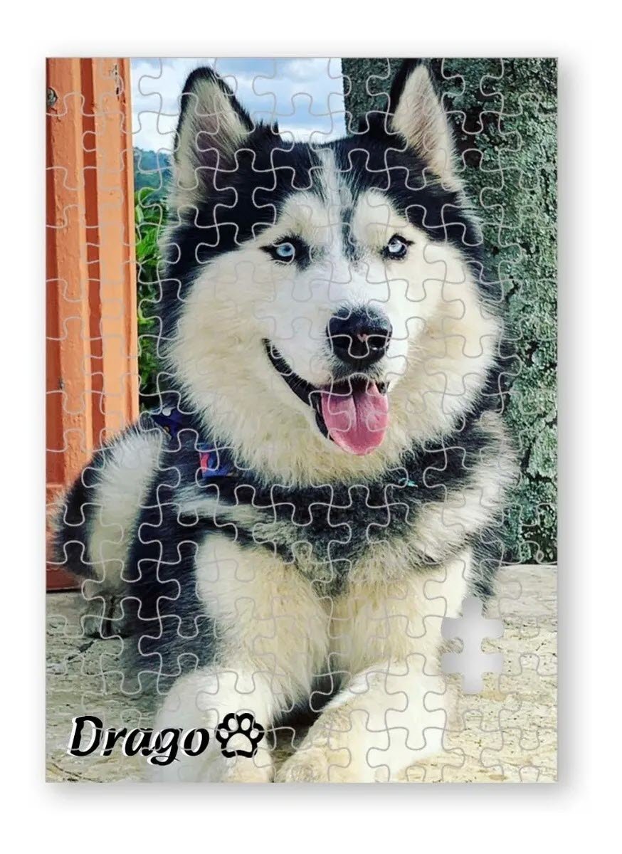 Rompecabezas Personalizable Cualquier Foto. 120 Piezas