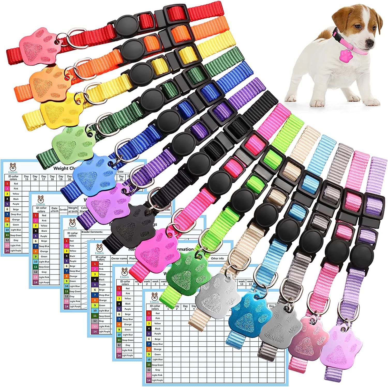 Placa Identificación Mascotas con Collar. Personalizable